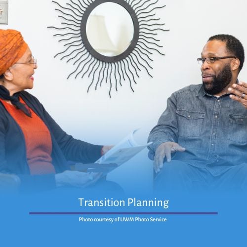 Decorative Image for the Transition Planning Courses - it is an Image of two adults holding a discussion. 